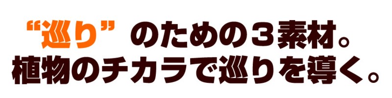 ΂݂̎TCg